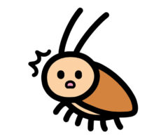一匹だけチャバネゴキブリ が出た
