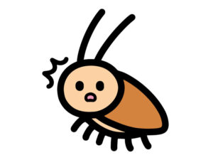一匹だけチャバネゴキブリ が出た