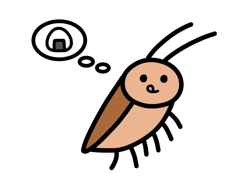 一匹だけチャバネゴキブリ が出た時の対処法