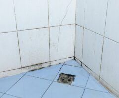 タイル目地のカビ