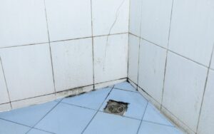 タイル目地のカビ