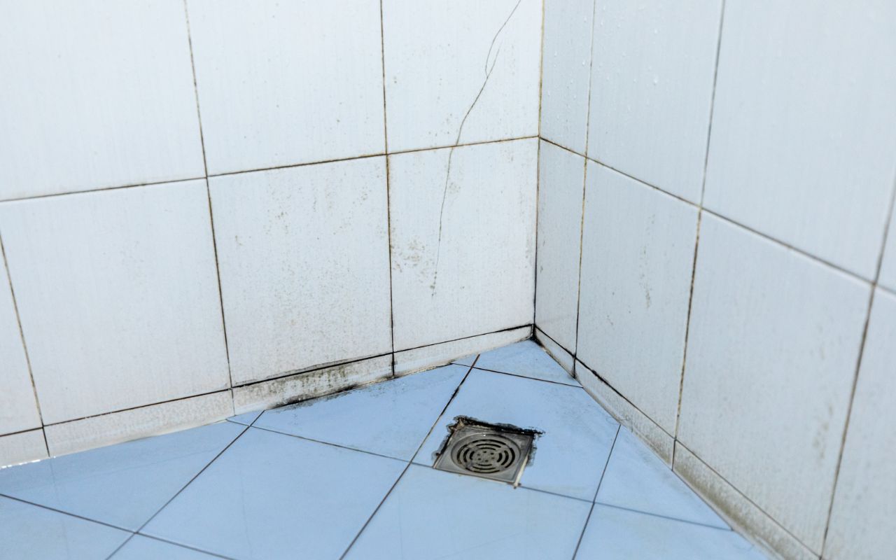 タイル目地のカビが取れない!落とし方のコツとオススメ対処法を徹底解説