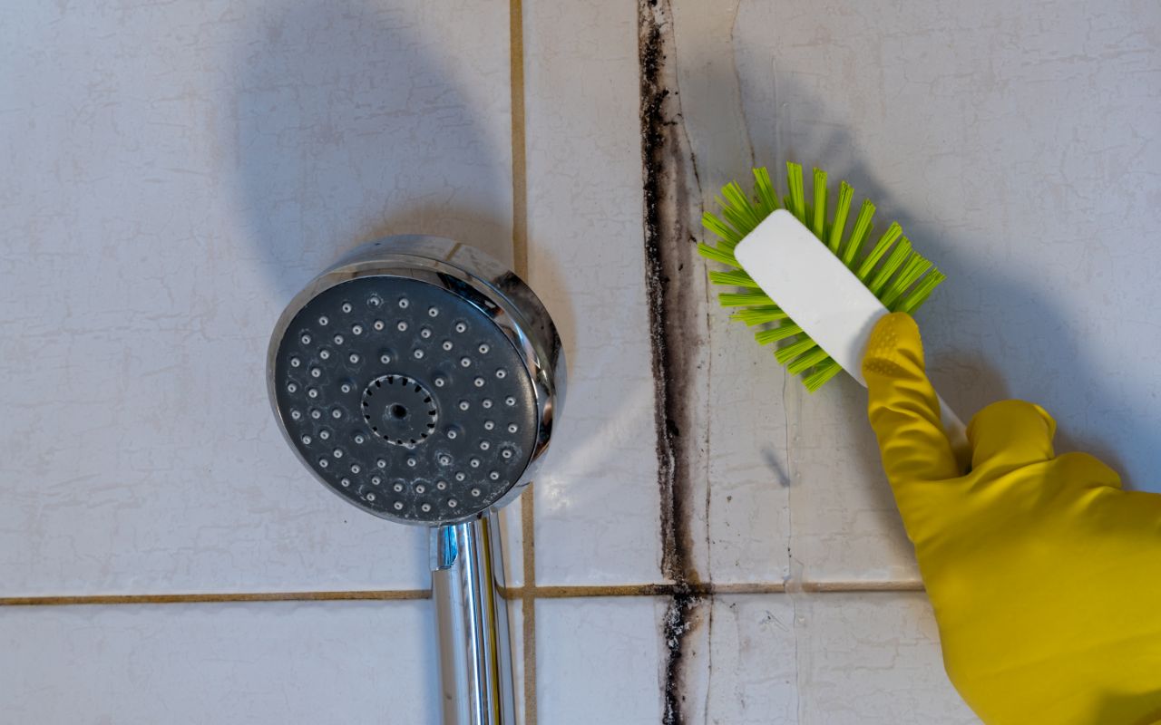 タイル目地カビの落とし方