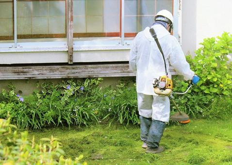 ドクダミの駆除・再発防止は除草業者への依頼がおすすめ