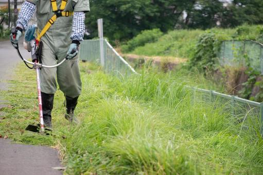 草むしりは便利屋・シルバー人材センター・専門業者どれがおすすめ？