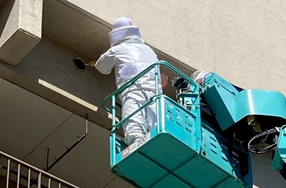※クリーンライフ提供：高所のハチ駆除