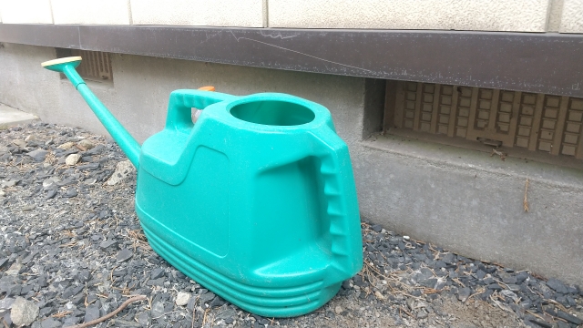 芝生の水やりの量と散水時間は根の深さから決める