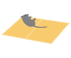 粘着シートで生きているネズミ