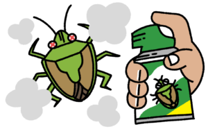 カメムシに殺虫剤が効かないイラスト