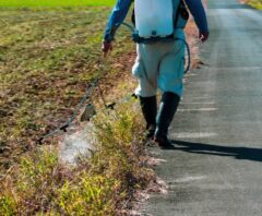除草剤の散布費用はどのくらい？広さ別の料金相場や自分でできないときの対処も