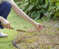 庭の草取りから解放されたい！負担を減らす方法を比較｜費用・効果・手間から最適な対策を選ぼう