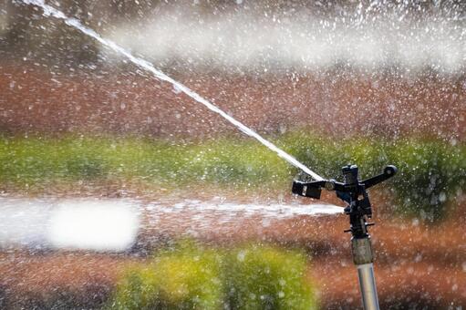 芝生の水やりに使うスプリンクラーは庭の広さで選ぶ