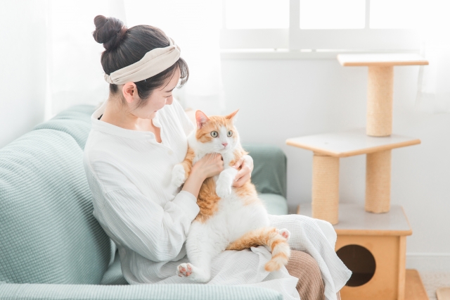 超音波がペットや人に影響を及ぼすか