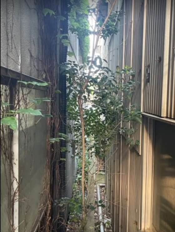施工写真（1枚目）