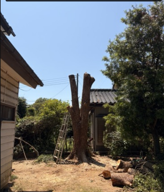 施工写真（2枚目）