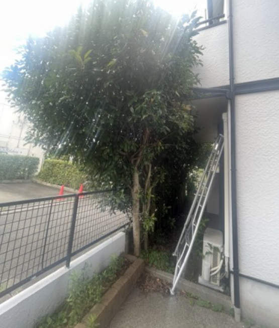 施工写真（3枚目）